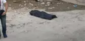Nehirde Kaybolan Çocuğun Cesedi Bulundu
