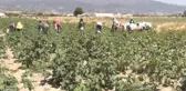 Ramazan Bayramı Kutlanıyor