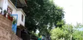 Anıt Çınar Serinliğin Adresi Oldu