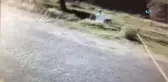Kız Kaçırma Davası Kanlı Bitti: 1 Ölü, 5 Yaralı