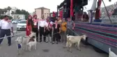 14. Kemer Altın Nar Kültür ve Sanat Festivali