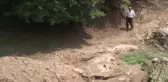 Dereye Düştüğü Iddia Edilen Kadının Cesedi Bulundu