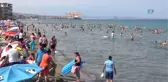 Dev Kangal Köpeğine Gözü Gibi Bakıyor
