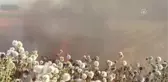 Adıyaman'da Anız Yangını