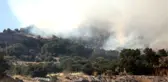 Bu Sefer de Bodrum'da Yangın! Alevler Yerleşim Alanlarına Yaklaşırken Söndürüldü