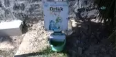 Kağıthane'de Sıcaktan Bunalan Sokak Hayvanları Perişan Durumda