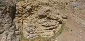 Uçurumdan Art Arda Atlayan 30 Koyun Telef Oldu