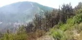 Anamur Ilçesindeki Orman Yangını