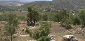 Çiftçinin Bulduğu 1600 Yıllık Mozaik Gün Yüzüne Çıkıyor