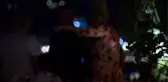 Deniz Seki'ye 'Yıldız' Hediye Etti