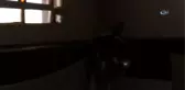 Ebabil Kuşu Tarihi Kula Evlerine Sığındı