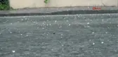 Edirne'de Dolu ve Sağanak Yağmur