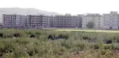 Şanlıurfa Harran Ovası'ndaki Betonlaşma Oranı 3 Kat Arttı