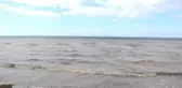 Yalova'daki Kuvvetli Yağış