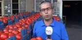 Adana Sıcak Hava Domatesi Vurdu, Kilosu 30 Kuruşa Düştü