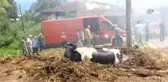 Yangından Kaçan İnek Tezek Yığınına Saklandı