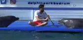 Yunuslar Klarnete Eşlik Etti