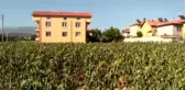 Denizli'de Traktör Kazası: 1 Ölü