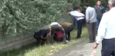 Iğdır'da Kopan Elektrik Teli Can Alıyordu