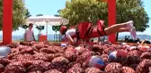 Caddebostan Sahili'nde Kinder Joy Etkinliği