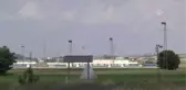 Leylekler Diyarbakır'ın Sulak Alanlarını Sevdi