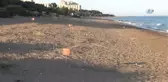 Caretta Carettalar Mersin Sahillerine Yumurta Bırakmaya Başladı