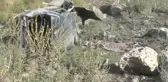 Tekeri Patlayan Otomobil Yoldan Çıktı: 1 Ölü
