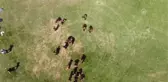 Ikiz Güreşçiler Başpehlivanlık Mücadelesi Verecek