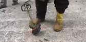 Fındıkta Bakım ve Temizlik Önemli