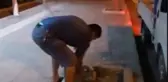 Ağaç Katliamını 