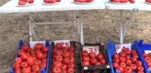 Biga'da Domates Şenliği