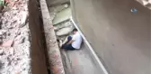Samsun'da Şüpheli Ölüm