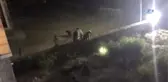 Boz Ayıları, Sarıkamışlı Otelciler Besliyor