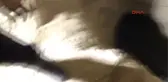 Kayseri 36 Bin Lira Değerindeki Altınları Için Öldürdükleri Kadını Define Için Kazdıkları Kuyuya...