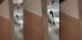 Sele Kapılan O Vatandaş Dehşet Anlarını Anlattı