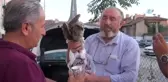 Yaralı Şahini Belediye Ekiplerine Teslim Etti
