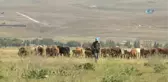 Kurbanlıklar Cep Yakacak