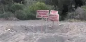 Yavru Deniz Kaplumbağalarının Yaşam Mücadelesi Başladı