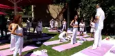 Abant'ta Uluslararası Yoga Festivali