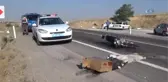 Aksaray'da Trafik Kazası: 1 Ölü