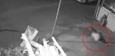 Adana'da 1 Kadının Öldüğü Bar Cinayetinin Görüntüleri Ortaya Çıktı