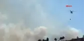 Hatay'da Orman Yangını