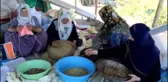 Tunceli'nin Köyünden, Dünyaya Açılan Dut