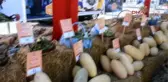 Silivri Belediye Başkanı; Tarım Gücü Ile Arazi Mafyasının Karşısında Duracağız