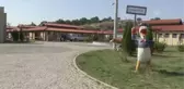 Sokak Hayvanlarına Uzatılan 