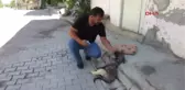 Afyonkarahisar Sokakta Yaralı Bulduğu Köpeği Tedavi Ettirip Sahiplendi