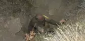 Define İçin Kazılan Kuyuya Düşen Kişi Yaralandı