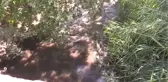 Ulubey Kanyonları'ndaki Kirlilik