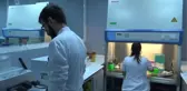 Türkiye'de Gdo Üretimi Yasaktır, Biyogüvenlik Kurulu'da Görevini Yapmaktadır