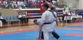 Uluslararası Altın Safran Türkiye Açık Kyokushin Şampiyonası